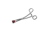 Young Tongue Seizing Forceps 6 1/2"